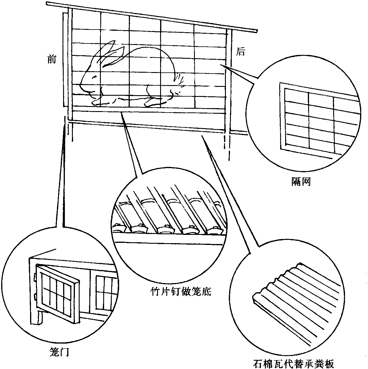 (三) 兔笼设计的基本要求